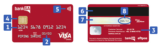 Visa Debit Card